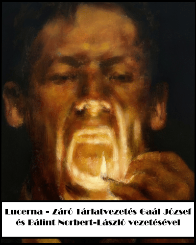 LUCERNA – Záró Tárlatvezetés Gaál József és Bálint Norbert-László vezetésével